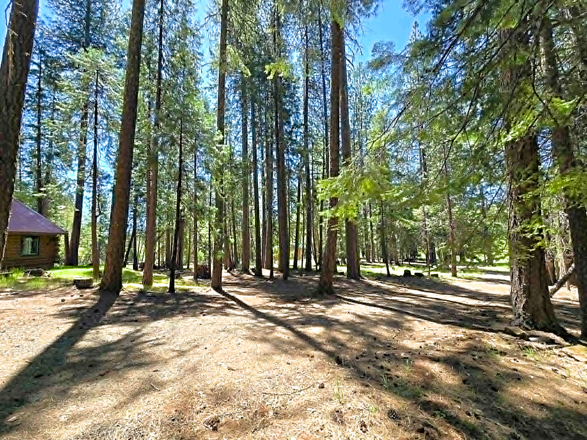 836 Ulrich Road Prospect, OR 97536 - Photo 32 of 47 a view of outdoor space with street view