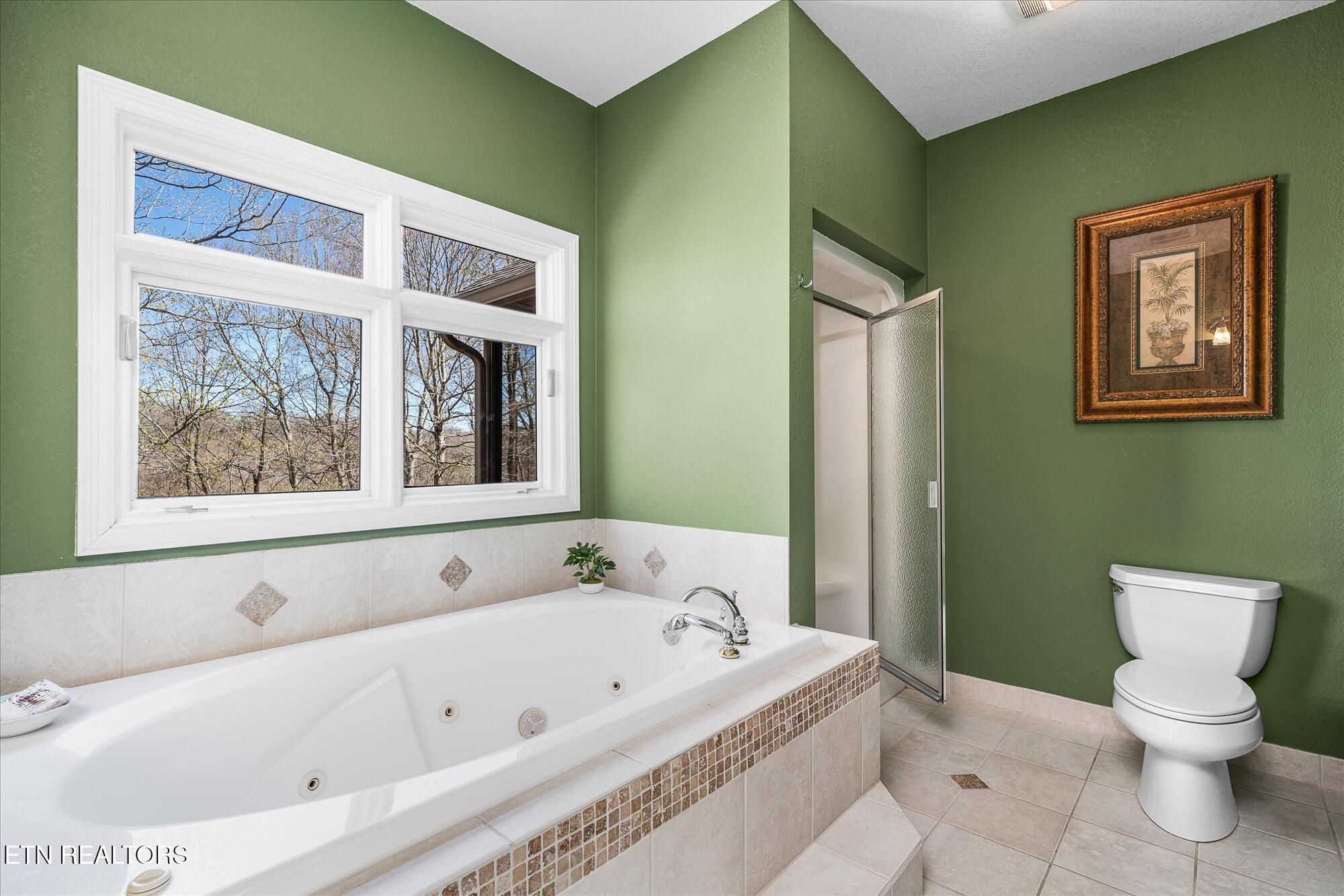 566 Mallard Pointe Road Byrdstown, TN 38549 - Photo 33 of 47 42-566 Mallard Pointe Dr_TNPC_249