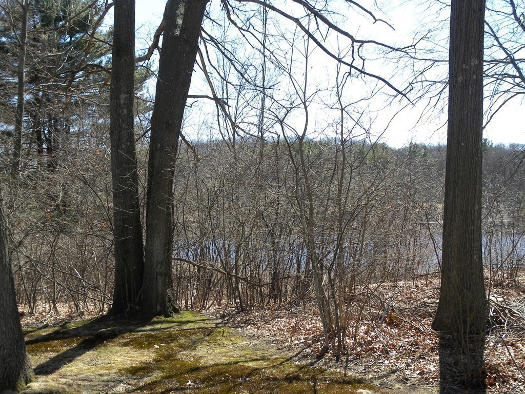 30 Fenelon Road Framingham, MA 01702 - Photo 14 of 19 Gallery Image 14