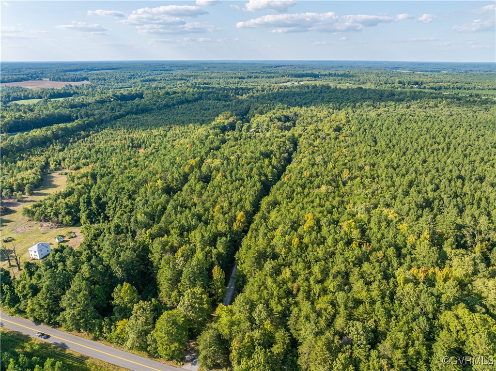 18525 Frog Level Road Ruther Glen, VA 22546 - Photo 4 of 49 Gallery Image 4