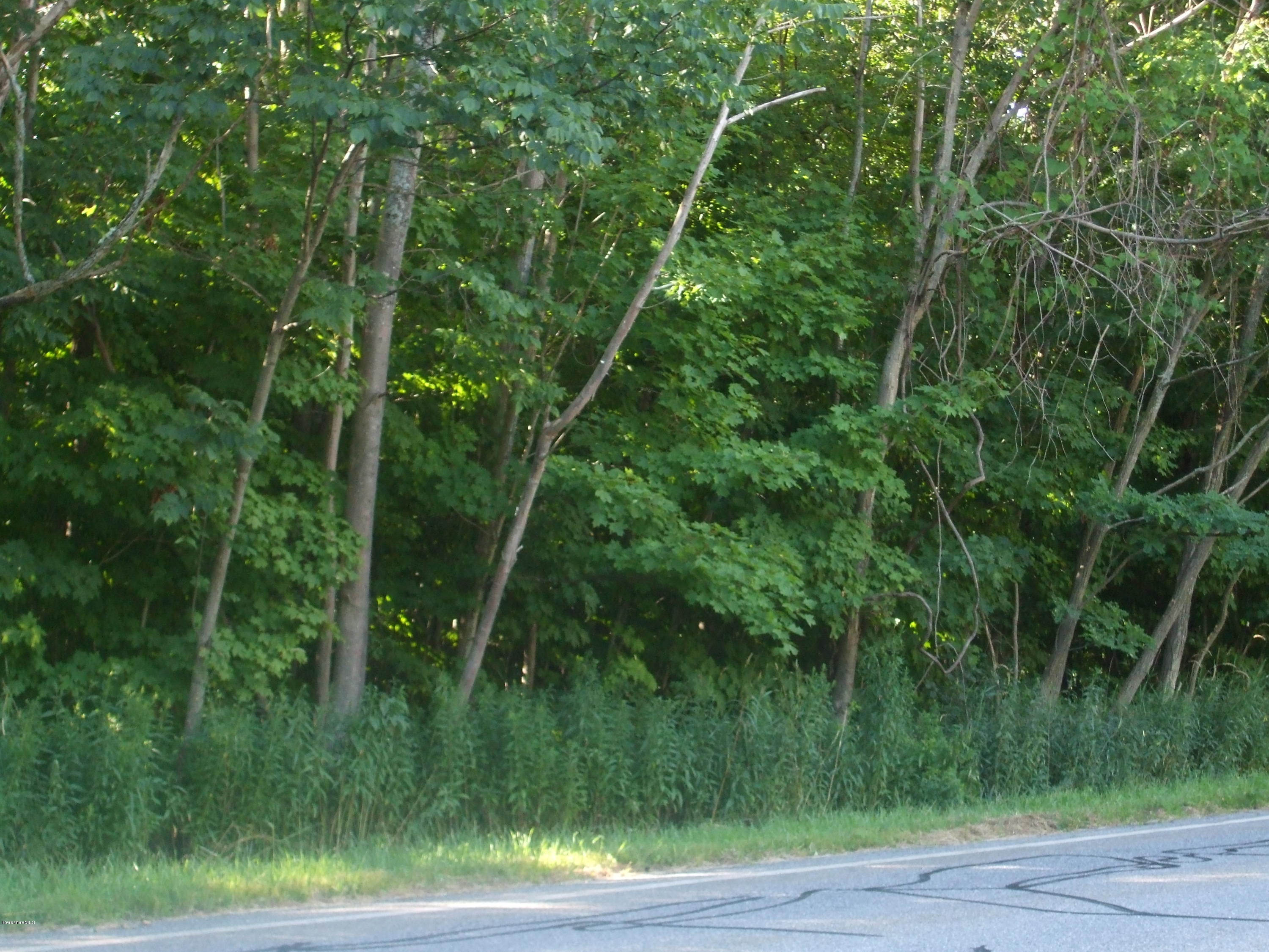 2399 A Hancock Road Hancock, MA 01267 - Photo 1 of 1 Wooded lot