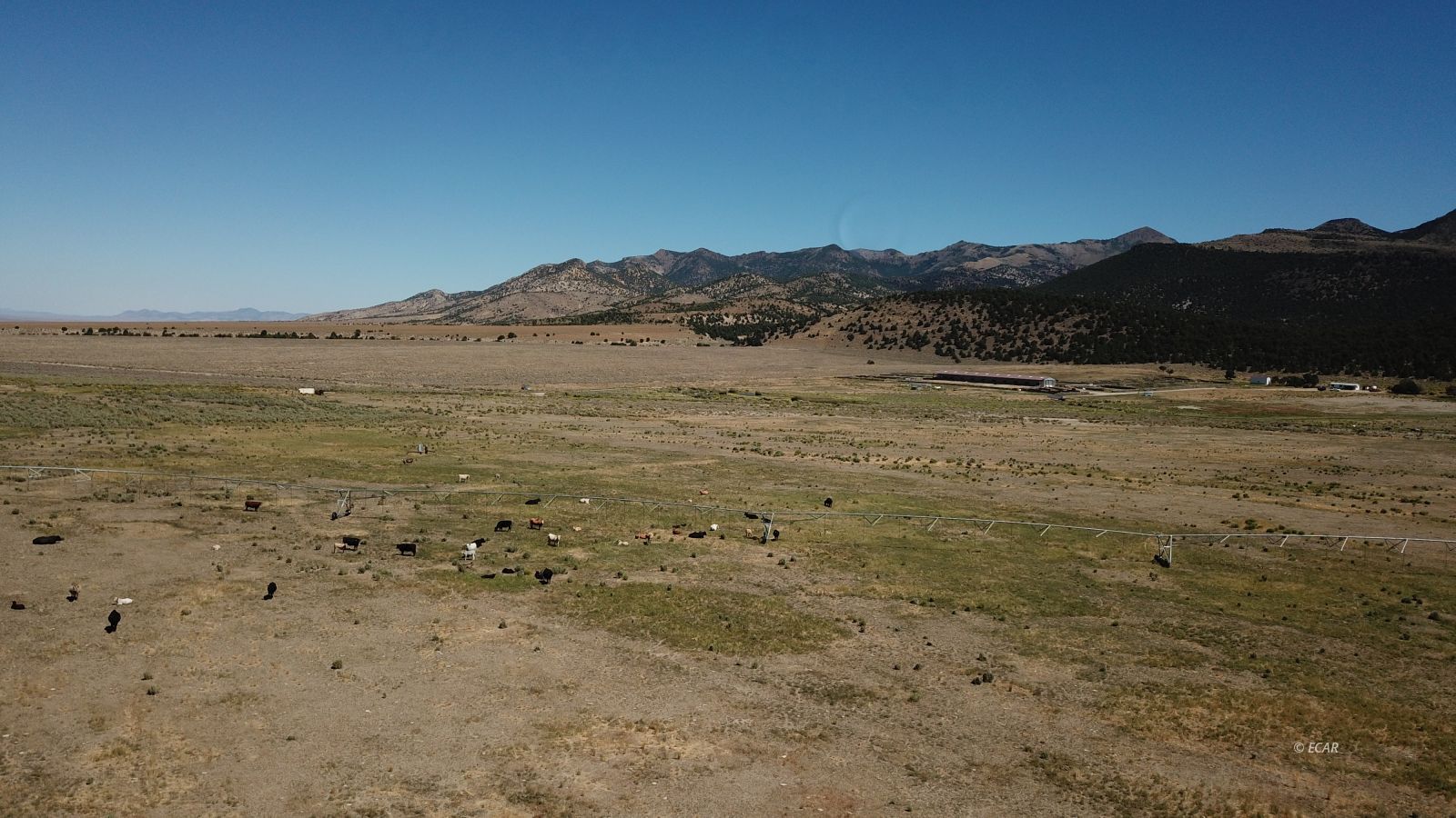 Segura Ranch Tonopah, NV 89049 - Photo 22 of 39 Gallery Image 22