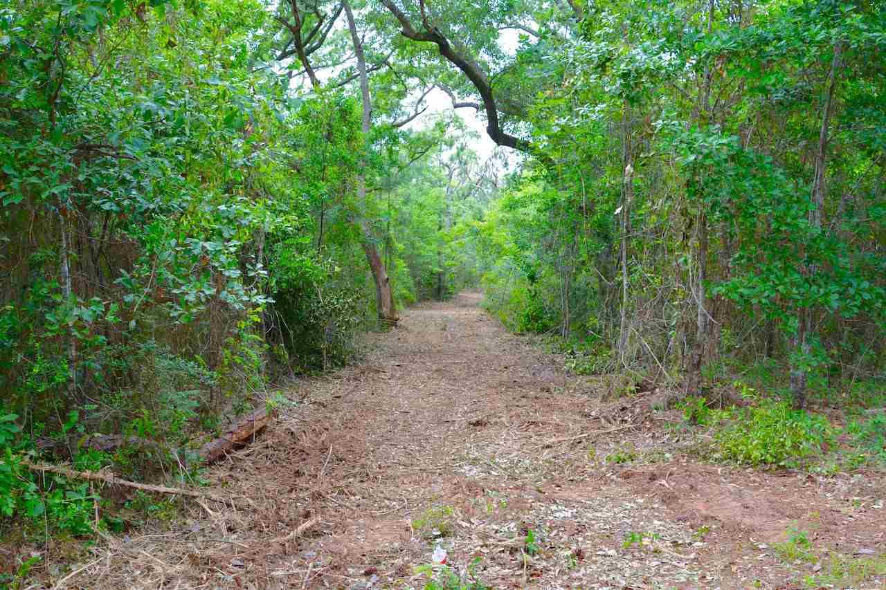 Lot 2 A/b Pearson Road Milton, FL 32583 - Photo 3 of 6 Gallery Image 3