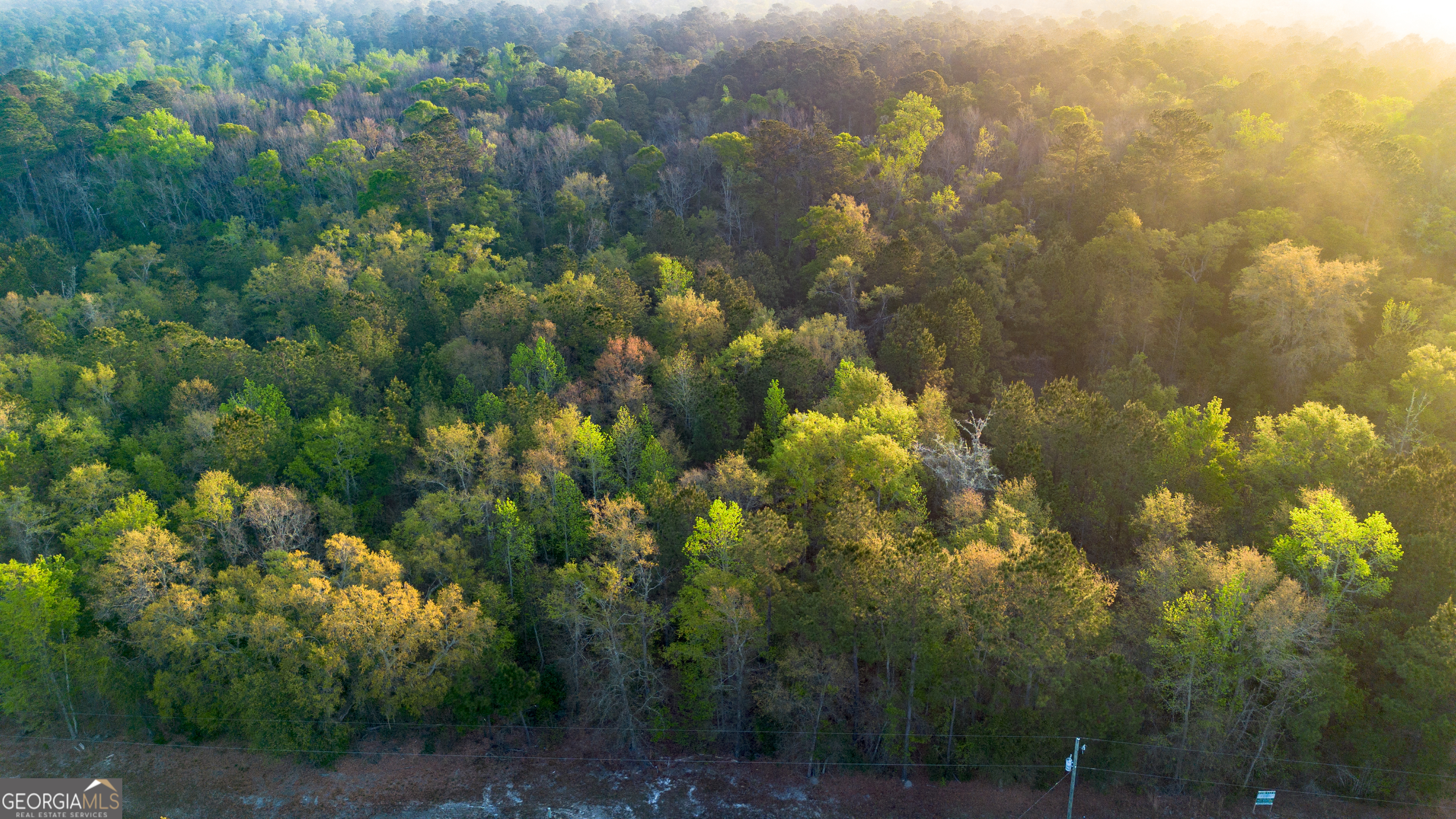 0 Little McCall Road Rincon, GA 31326 - Photo 2 of 12 a view of a bunch of trees
