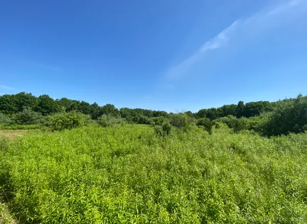 a view of a lush green space with sea