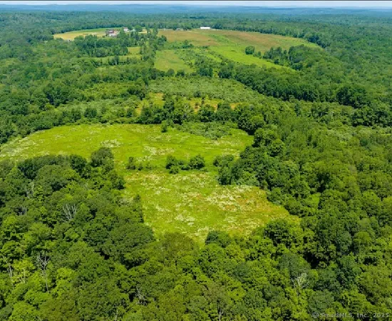a view of a lush green forest with trees and a houses