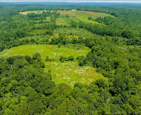a view of a lush green forest with trees and a houses