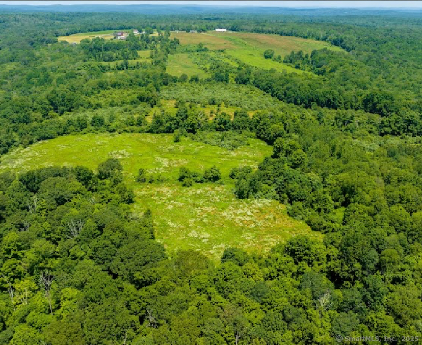 0 Zola Road Amston, CT 06231 - Photo 2 of 12 a view of a lush green forest with trees and a houses
