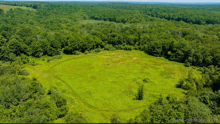 0 Zola Road Amston, CT 06231 - Photo 6 of 12 a view of a yard