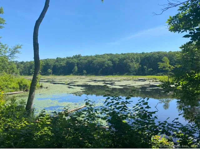 a view of a lake with a house in the background