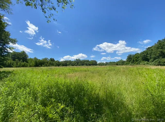 a view of a golf course with a lake