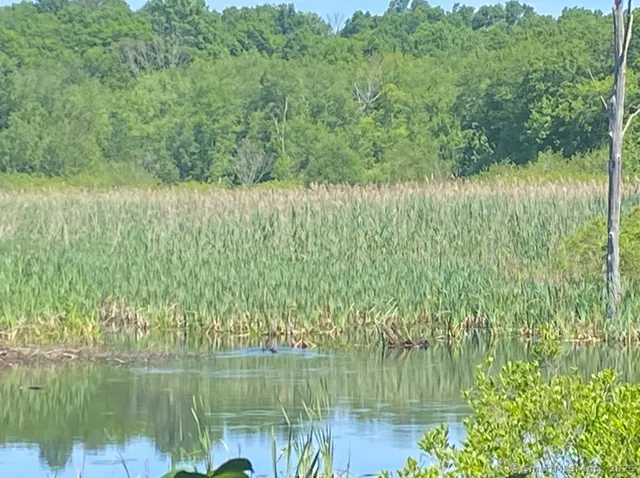 a view of a lake from a yard
