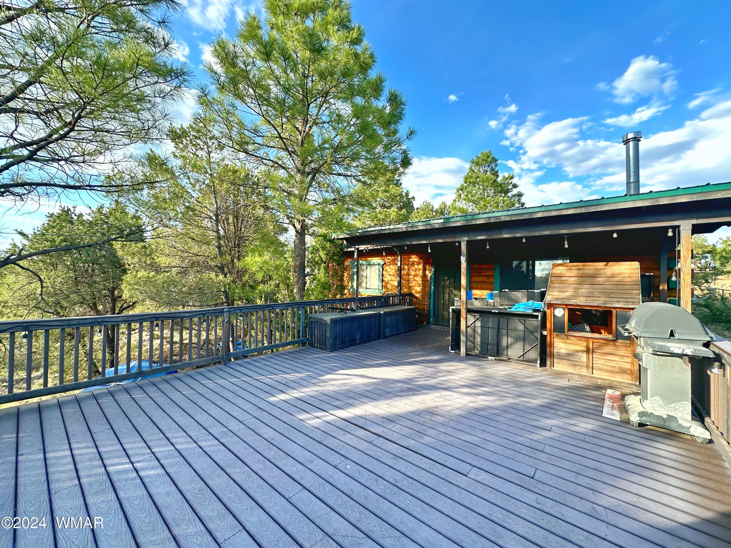 3403 Top View Road Overgaard, AZ 85933 - Photo 16 of 19