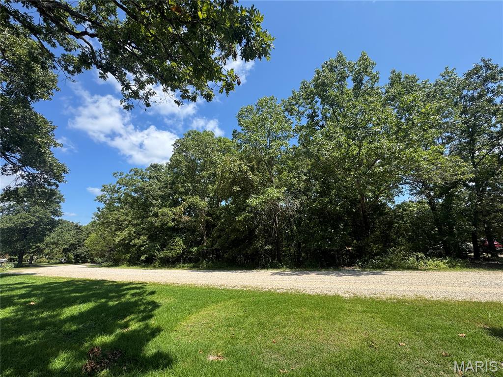 0 Rue Marne Bonne Terre, MO 63628 - Photo 5 of 10 Gallery Image 5