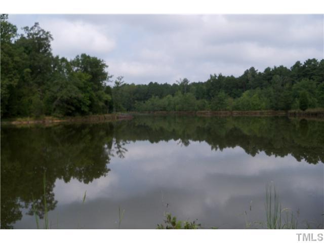 902 Avalon Road Durham, NC 27704 - Photo 8 of 10 Pond