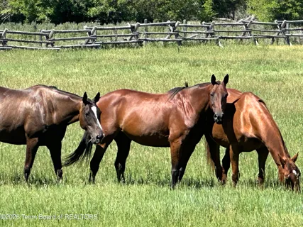 $3,875,000 | 8855 Riverfront Drive, Jackson, WY 83001