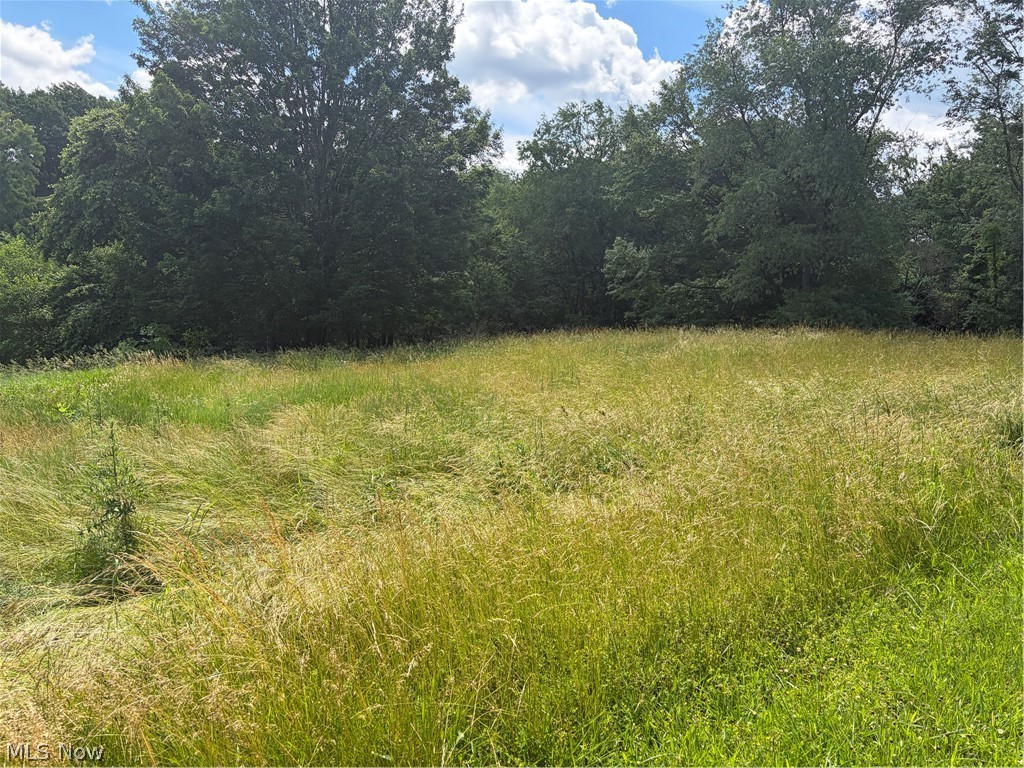 15441 Johnson Road Lisbon, OH 44432 - Photo 7 of 45 Expansive open land featuring natural grasses and mature tree lines