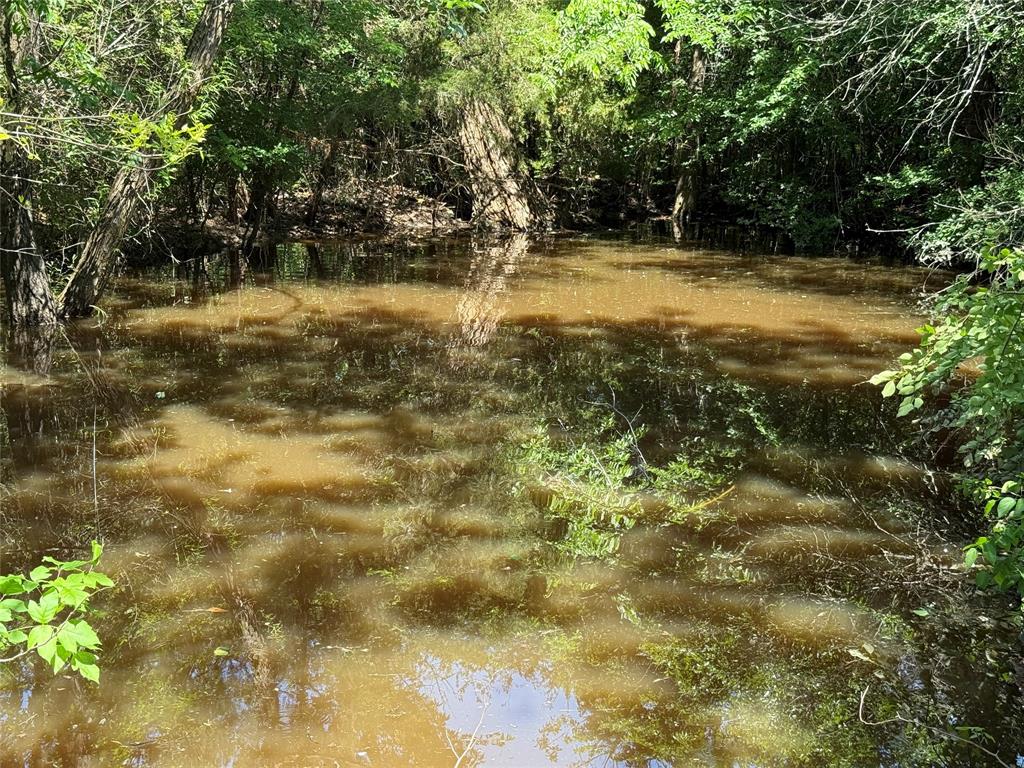 2002 County Road 906 Princeton, TX 75407 - Photo 26 of 31 a view of a lake view