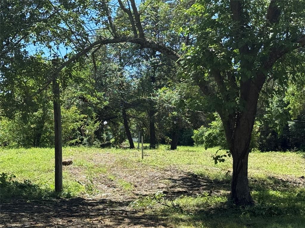 2002 County Road 906 Princeton, TX 75407 - Photo 27 of 31 a view of a tree in a yard