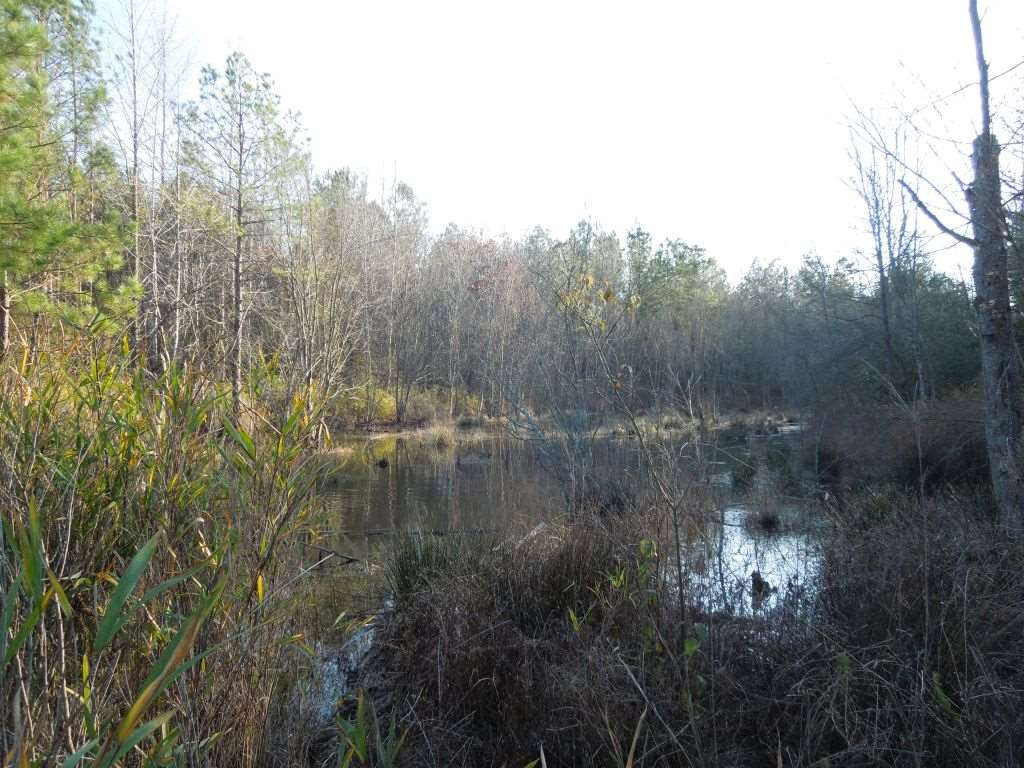Stallings Mill Road Spring Hope, NC 27882 - Photo 6 of 8 Photo 6