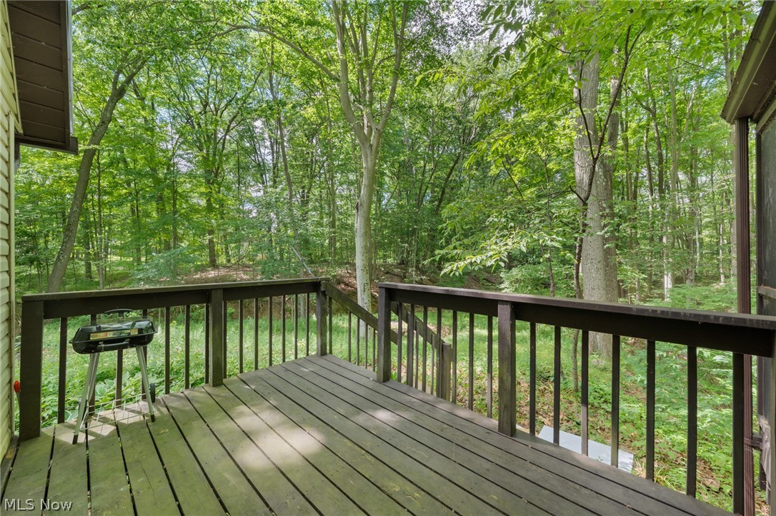 9249 Gilbert Road Ravenna, OH 44266 - Photo 27 of 50