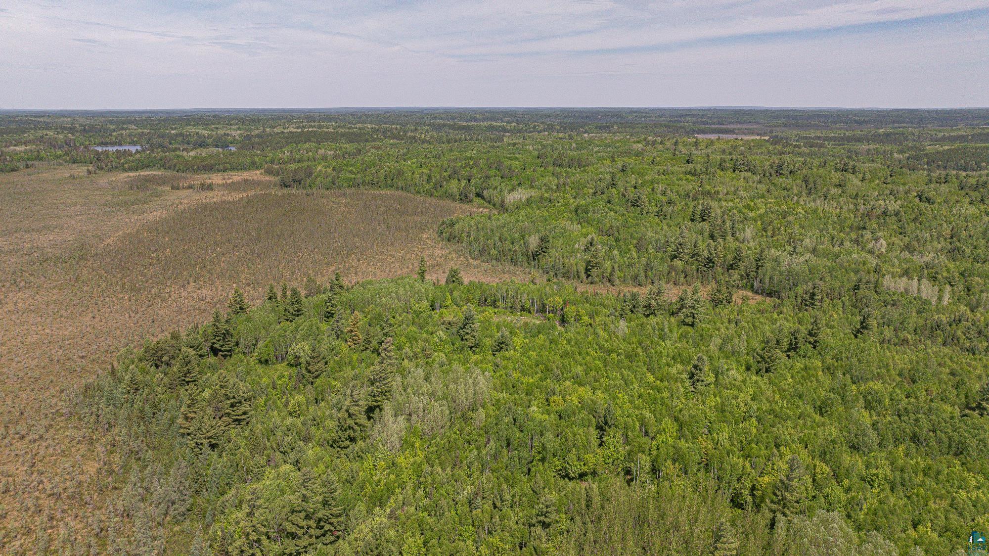 Tbd Tbd Muckwa Lake Road Babbitt, MN 55706 - Photo 29 of 54
