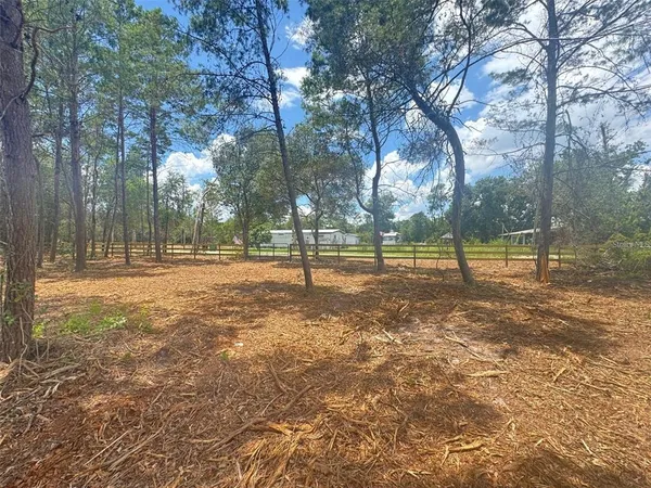 $31,900 | East Pine Street, Paisley, FL 32767