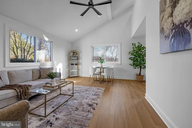 a living room with furniture and a potted plant