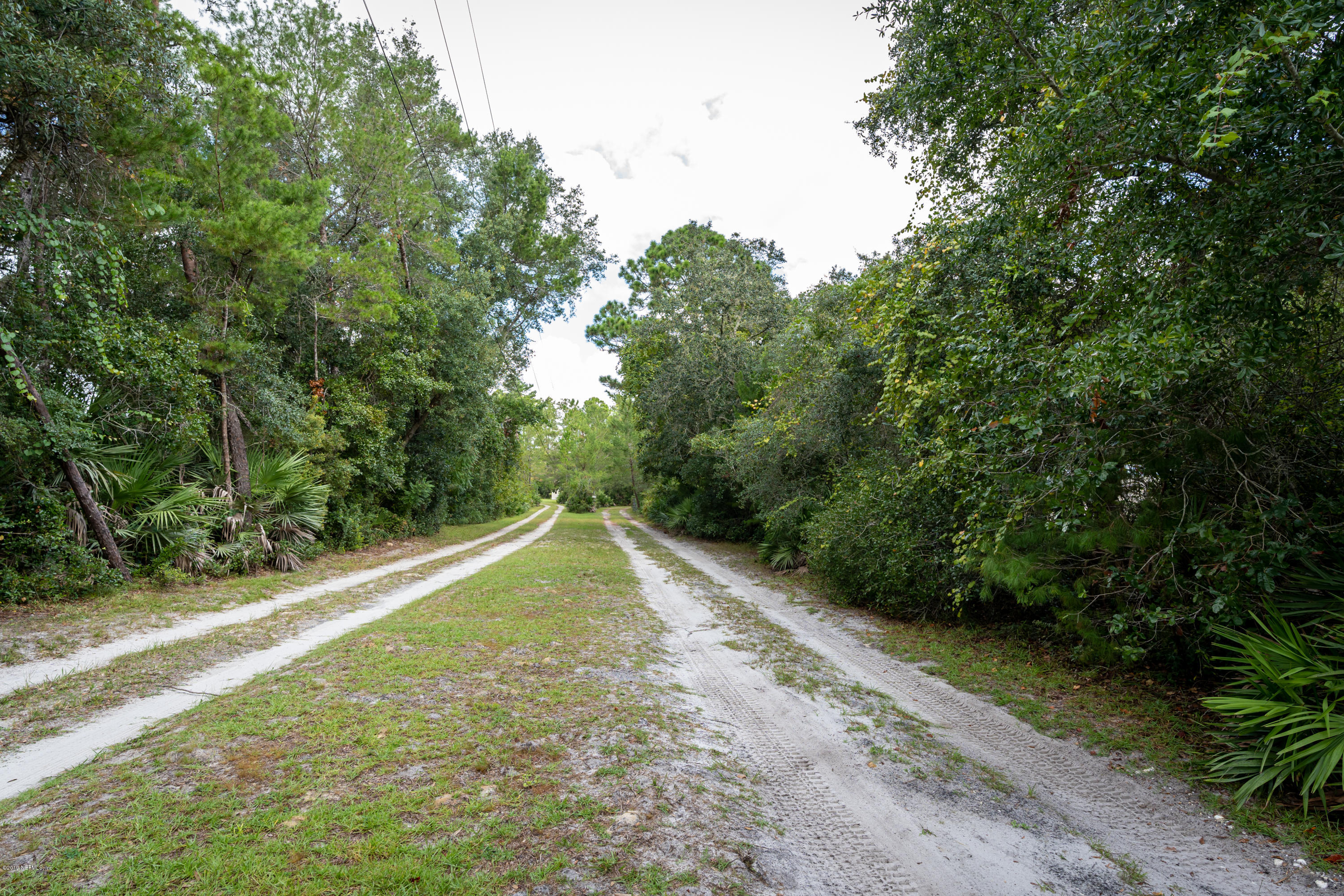 1090 Cherry Tree Road St. Augustine, FL 32086 - Photo 1 of 33 a view of a yard with a small trees