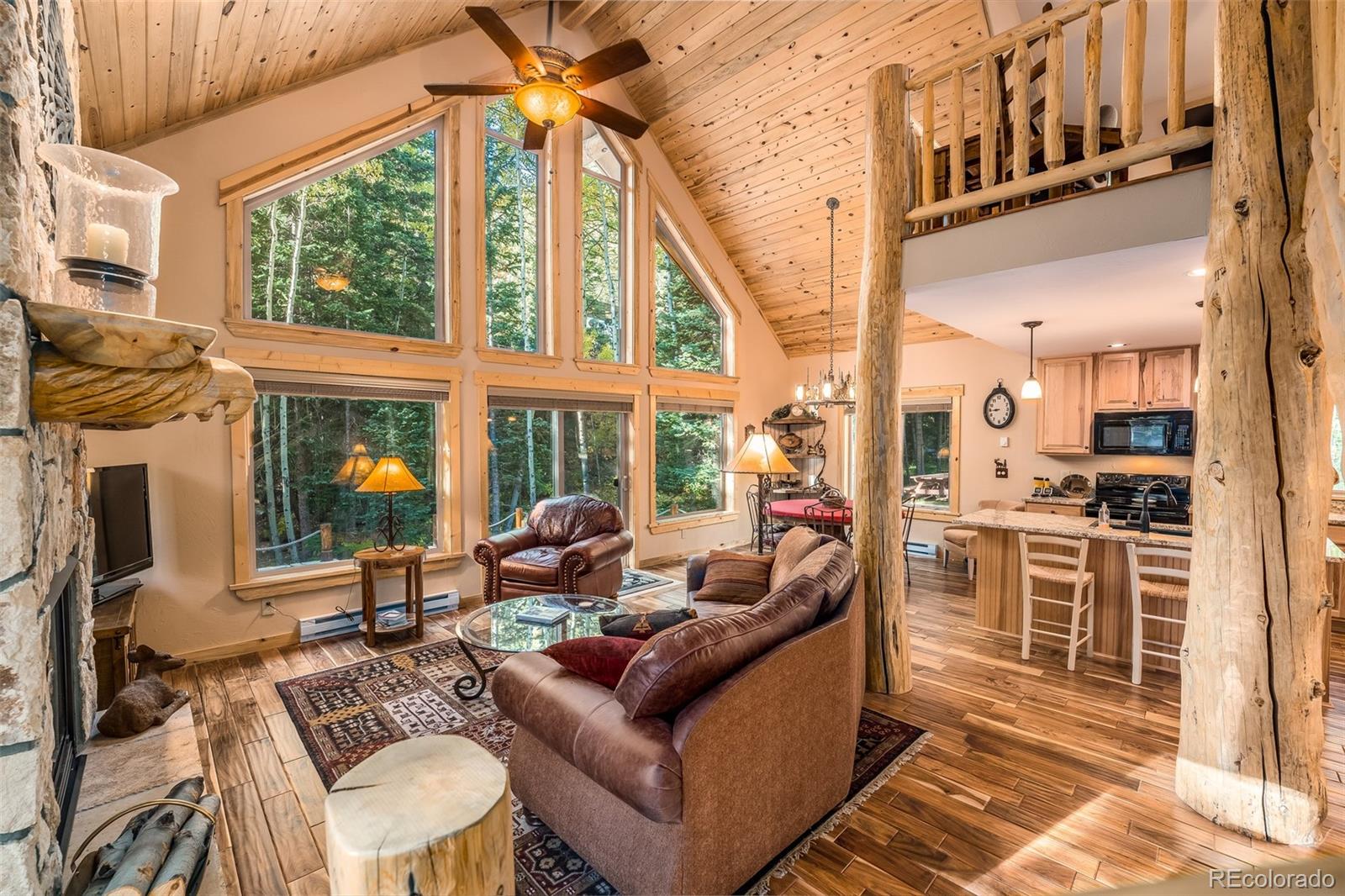 2901 Mill Creek Road Dumont, CO 80436 - Photo 2 of 35