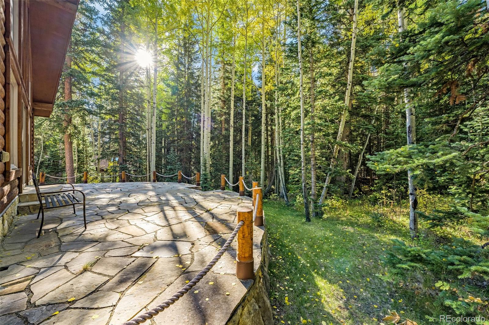 2901 Mill Creek Road Dumont, CO 80436 - Photo 21 of 35