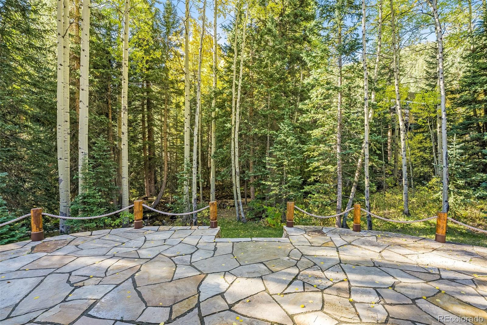 2901 Mill Creek Road Dumont, CO 80436 - Photo 22 of 35