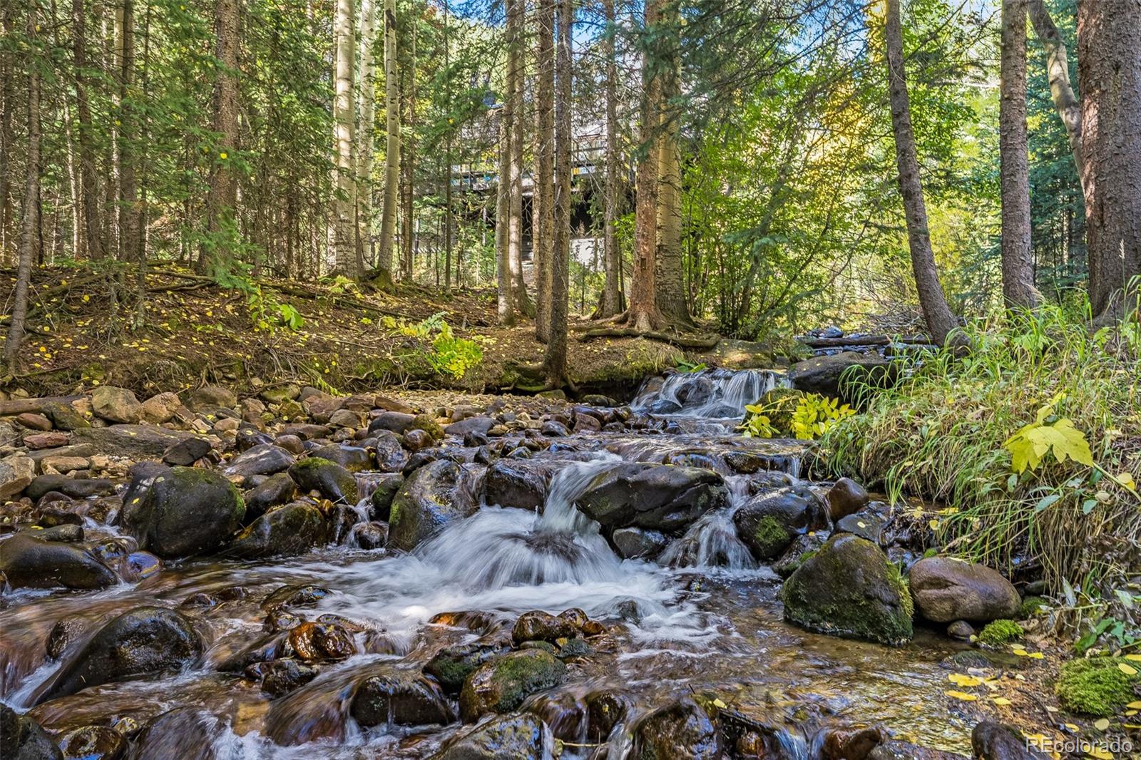 2901 Mill Creek Road Dumont, CO 80436 - Photo 26 of 35