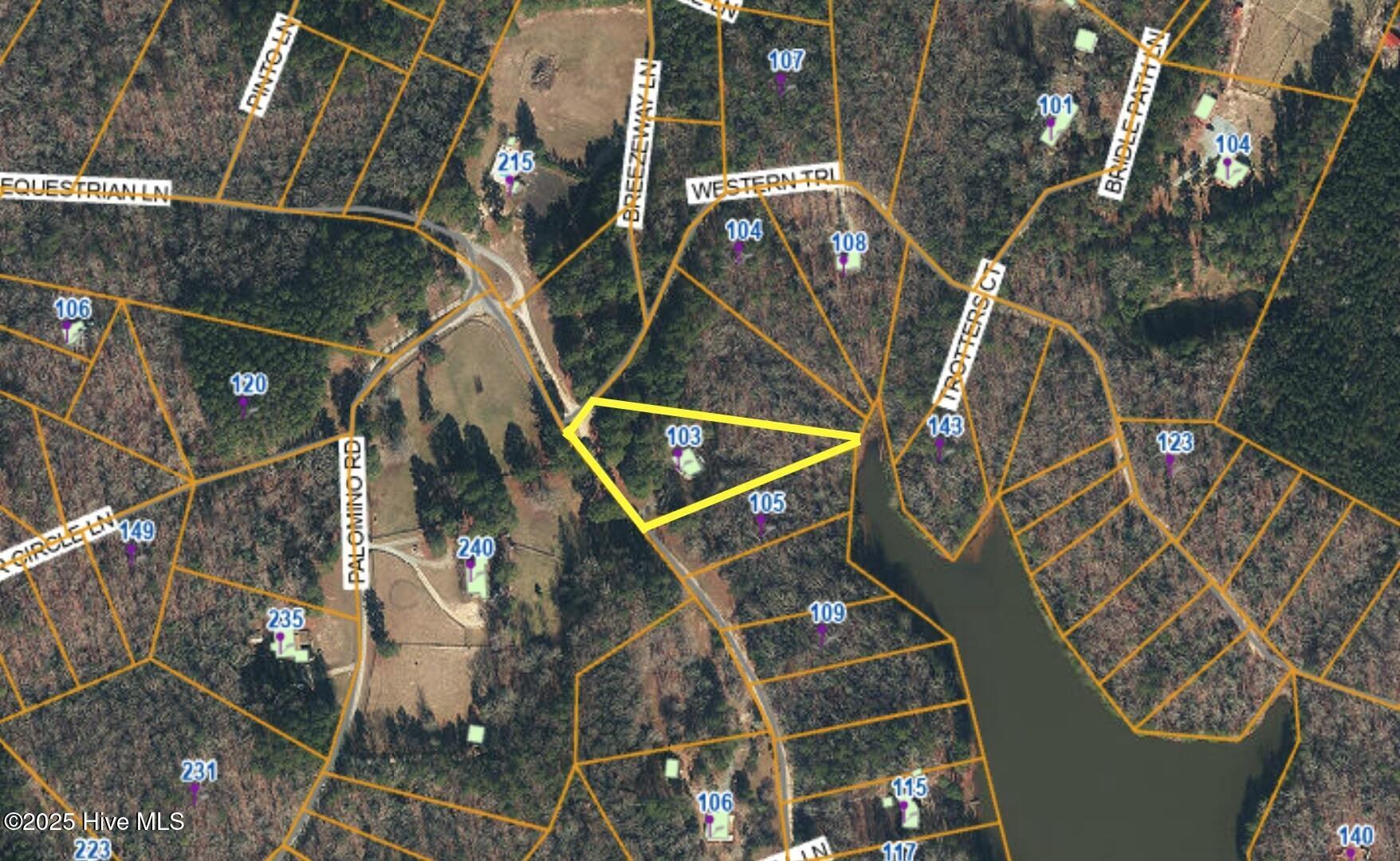 103 Palomino Road Carthage, NC 28327 - Photo 65 of 69 Plat Map 1