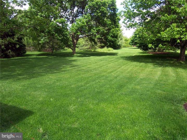 311 Sidley Road Malvern, PA 19355 - Photo 23 of 25 Back Yard