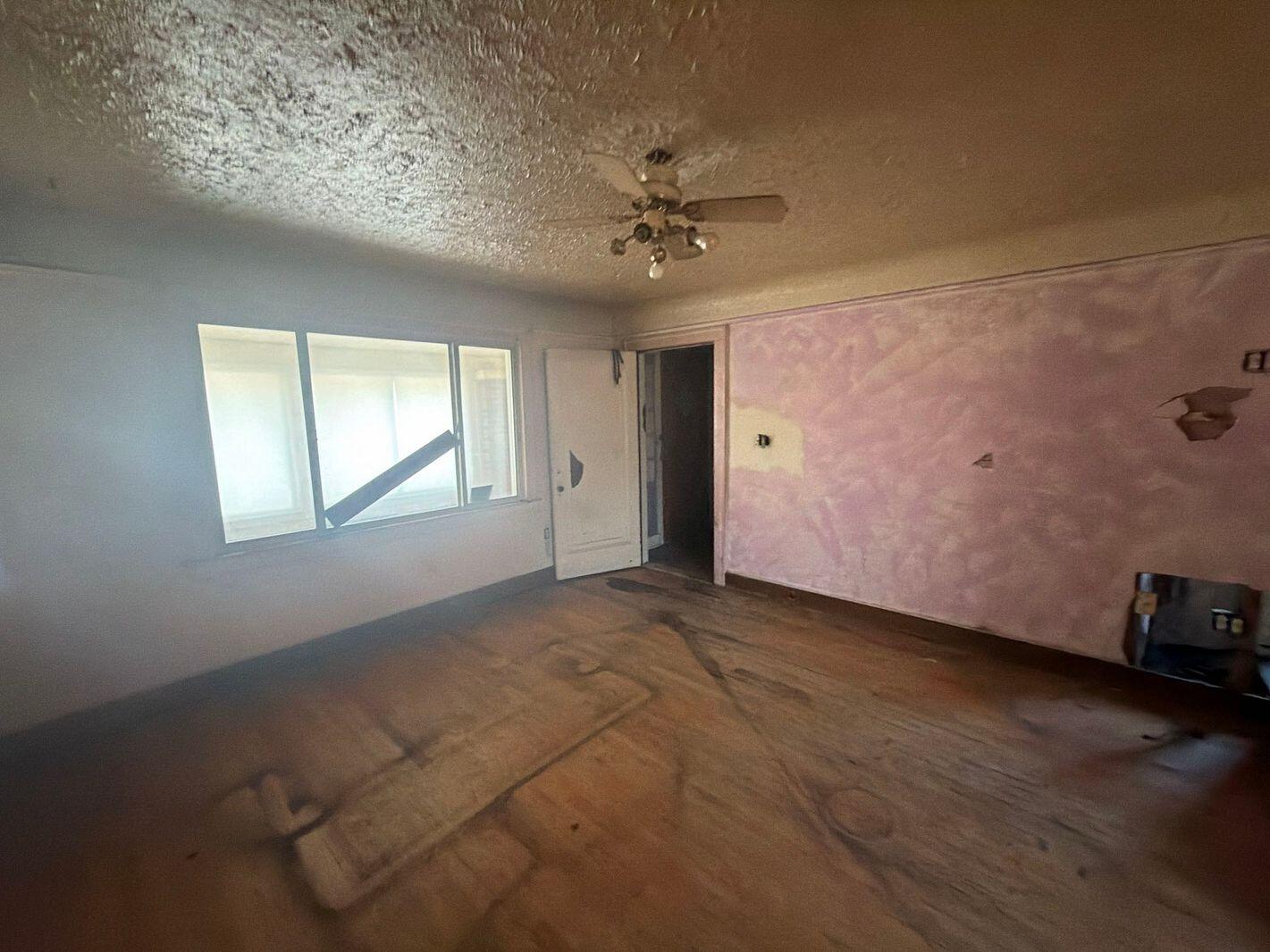 389 Genessee Street River Rouge, MI 48218 - Photo 10 of 35 09