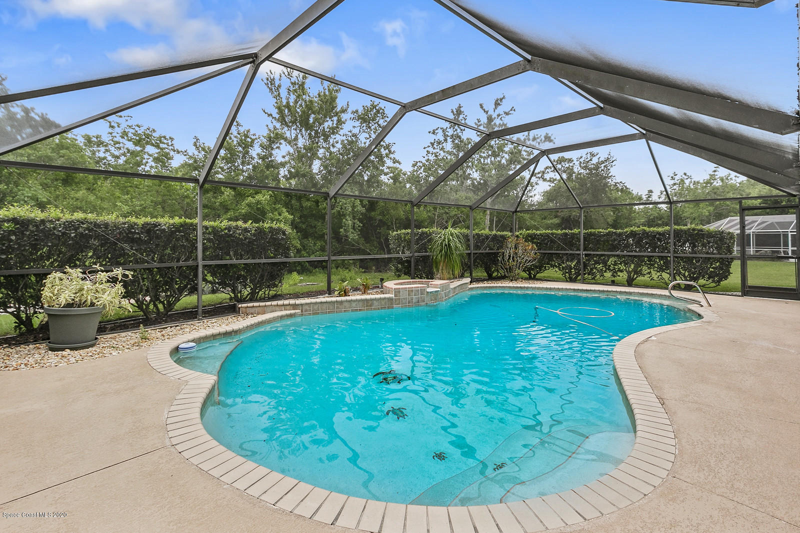 3805 Shady Run Road Melbourne, FL 32934 - Photo 7 of 42 a view of a swimming pool with a yard