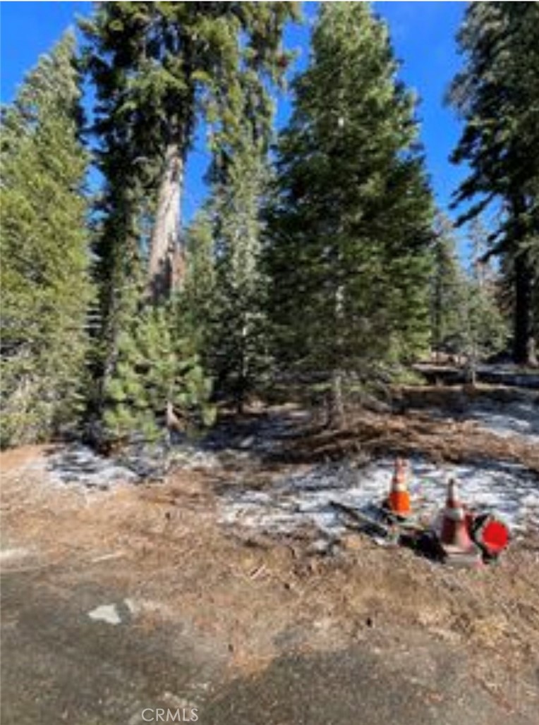 57793 Fawn Drive Springville, CA 93265 - Photo 3 of 5