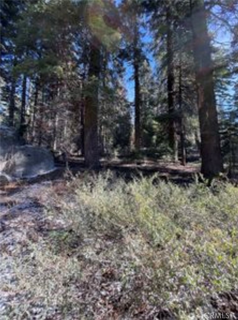 57793 Fawn Drive Springville, CA 93265 - Photo 4 of 5