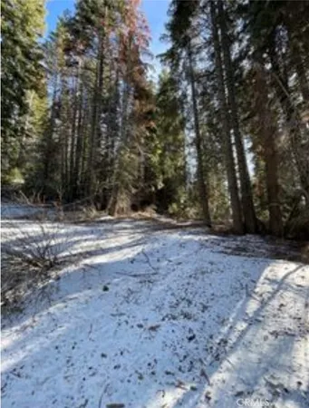 a view of a yard with trees