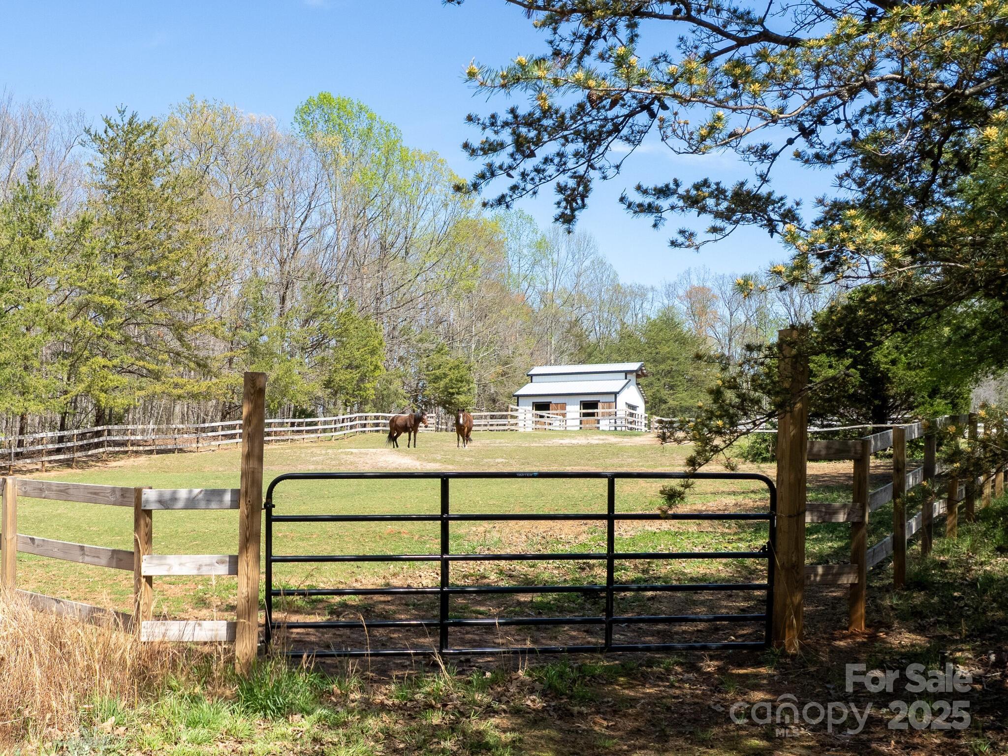 3855 Peniel Road Tryon, NC 28782 - Photo 26 of 46