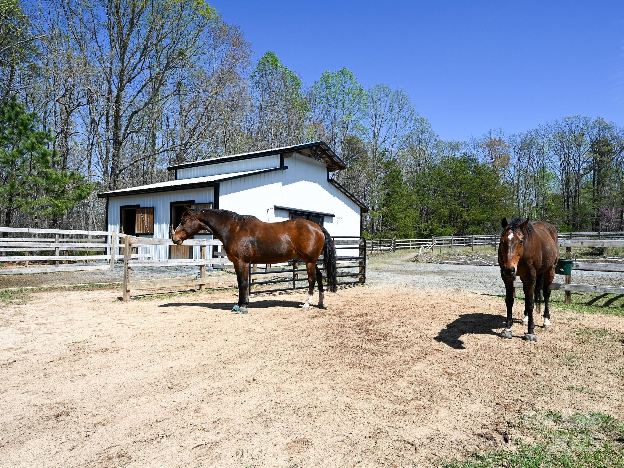 3855 Peniel Road Tryon, NC 28782 - Photo 27 of 46