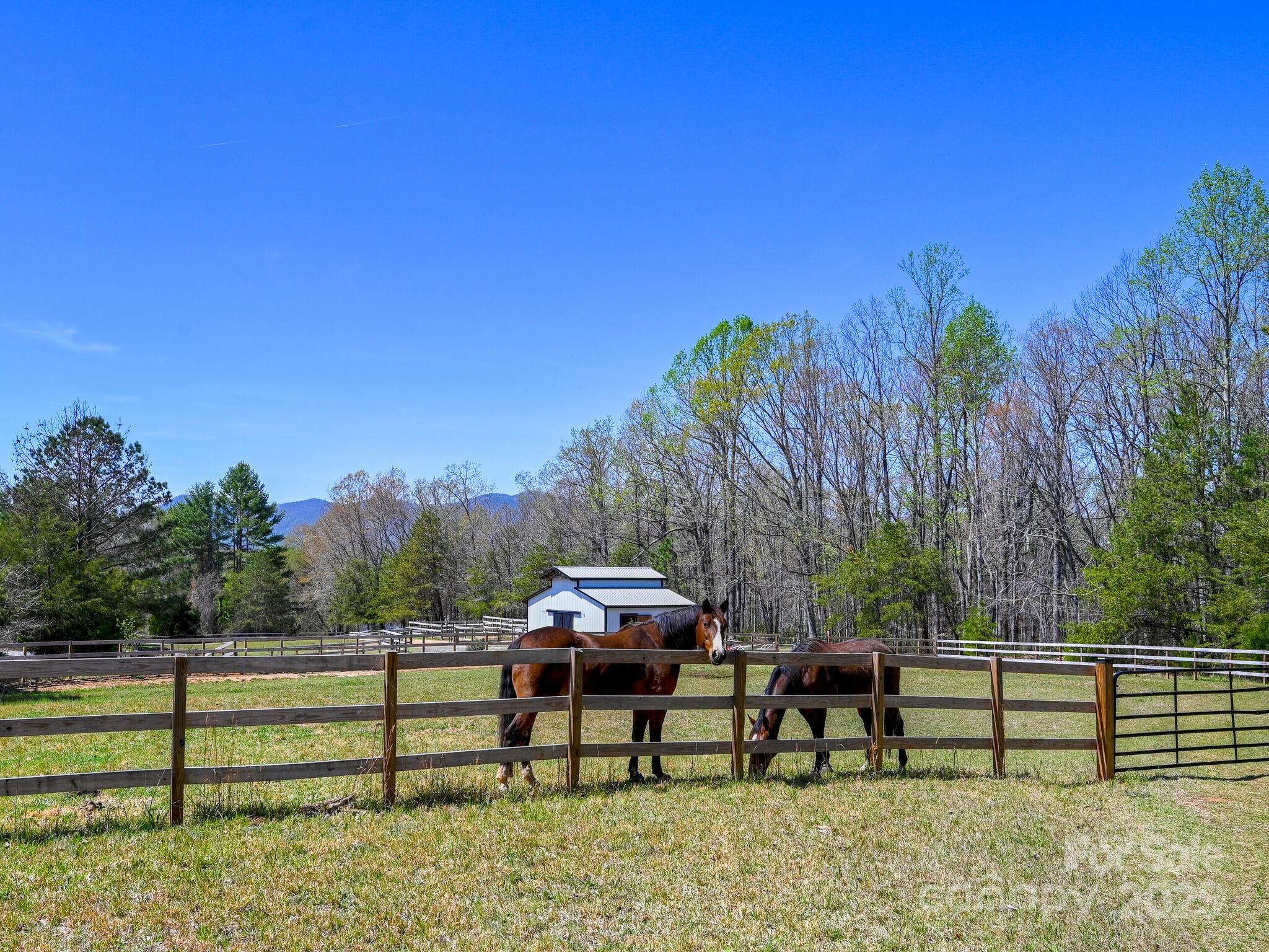 3855 Peniel Road Tryon, NC 28782 - Photo 28 of 46