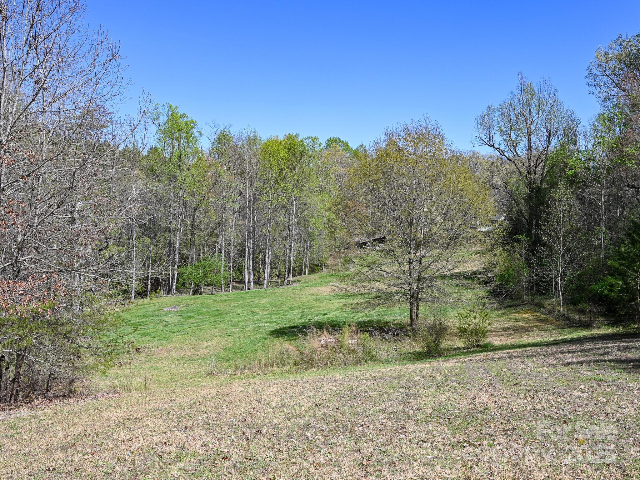 3855 Peniel Road Tryon, NC 28782 - Photo 34 of 46
