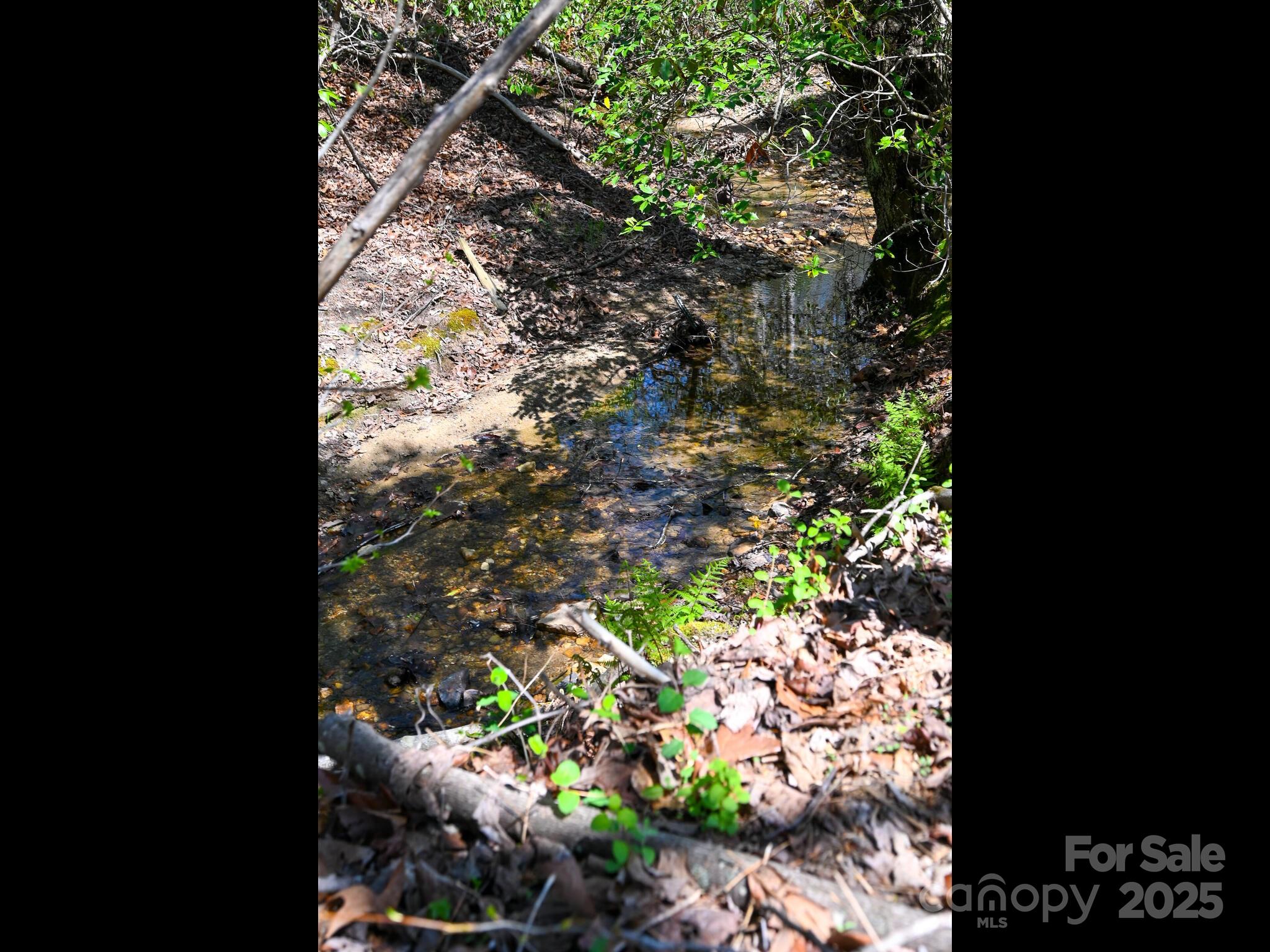 3855 Peniel Road Tryon, NC 28782 - Photo 42 of 46