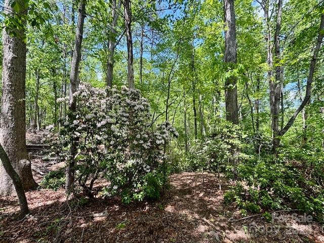 3855 Peniel Road Tryon, NC 28782 - Photo 44 of 46