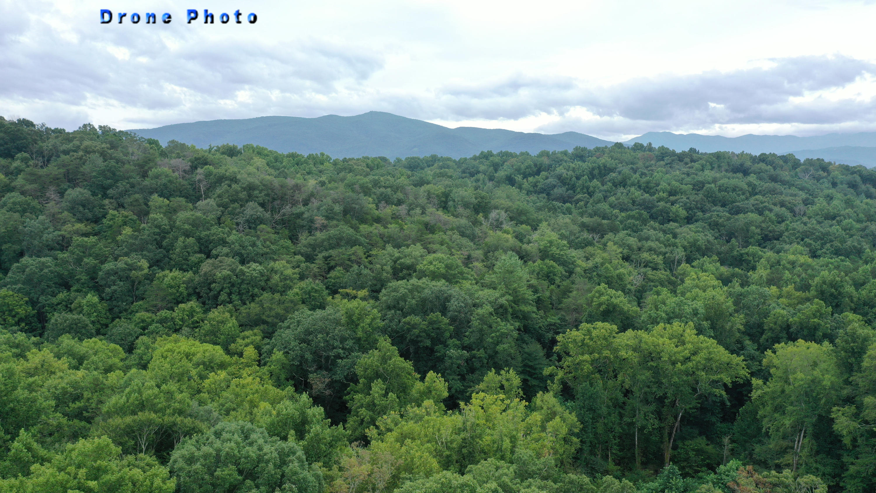 1333 Golf Course Road Newport, TN 37821 - Photo 22 of 23 22