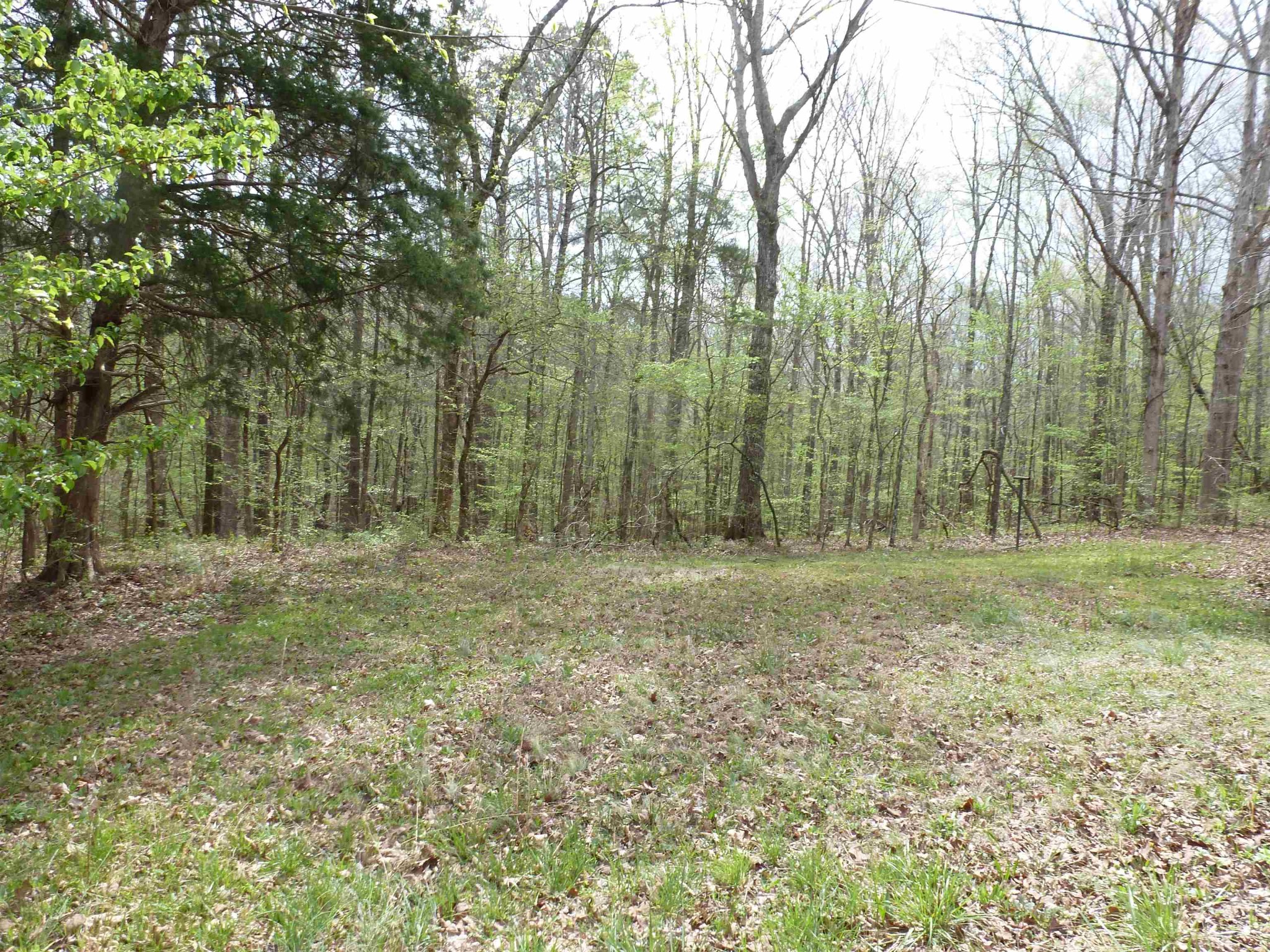 2330 Ligon Springs Road Tuscumbia, AL 35674 - Photo 6 of 8