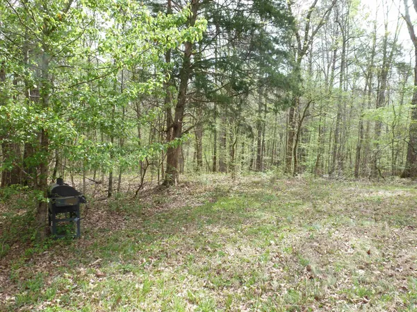 $79,900 | 2330 Ligon Springs Road, Tuscumbia, AL 35674