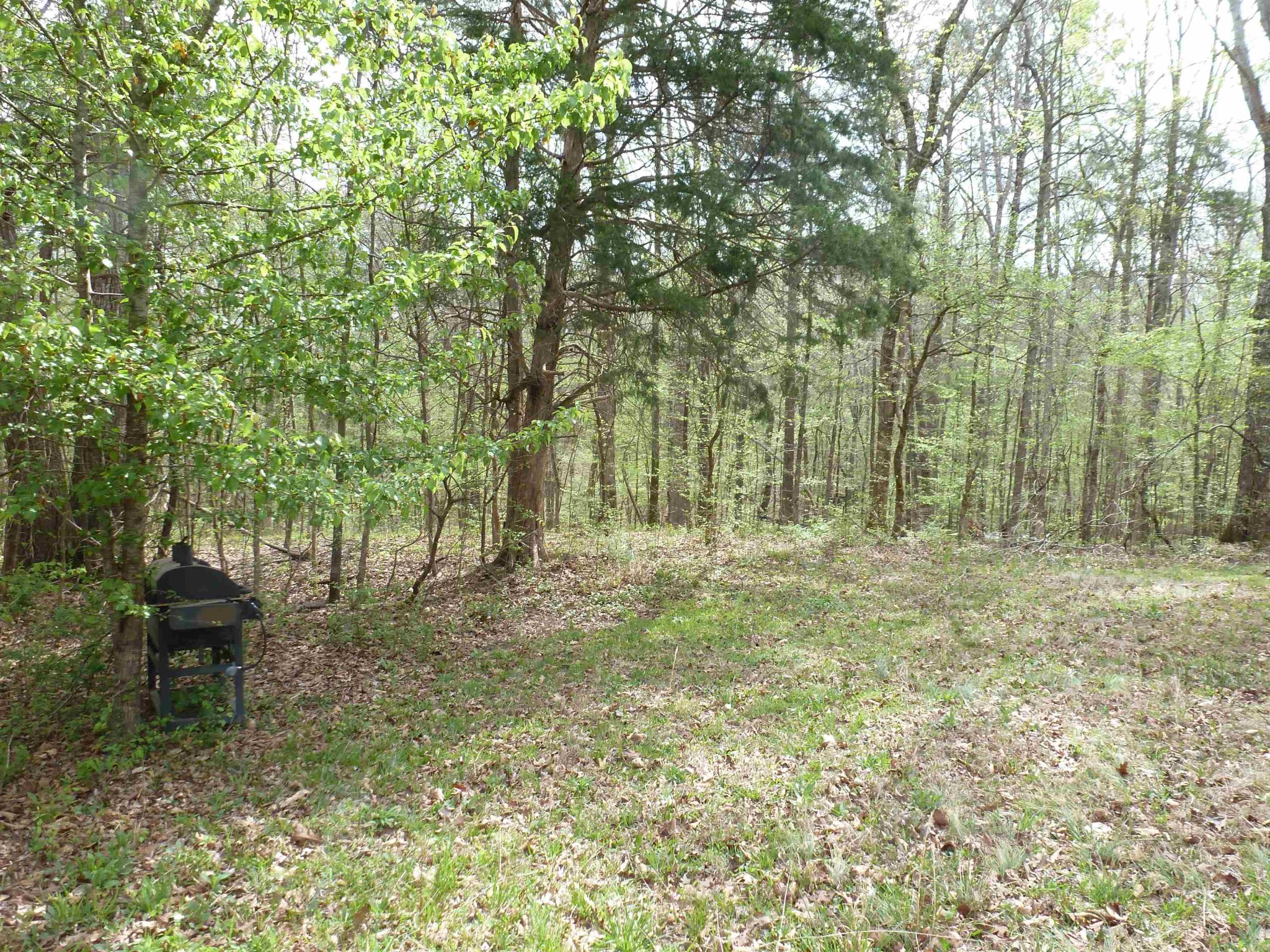 2330 Ligon Springs Road Tuscumbia, AL 35674 - Photo 7 of 8